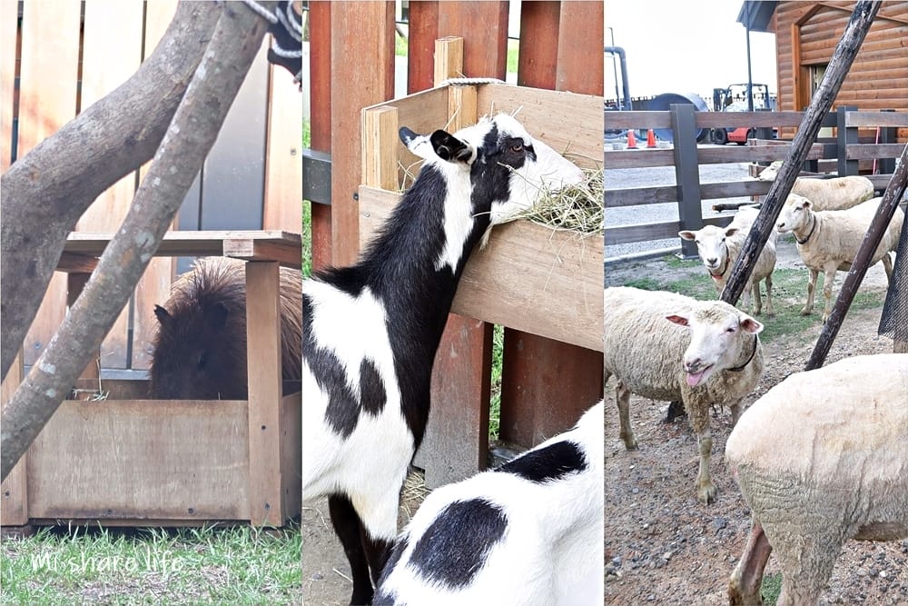 xpark (35).jpg xpark (35).jpg