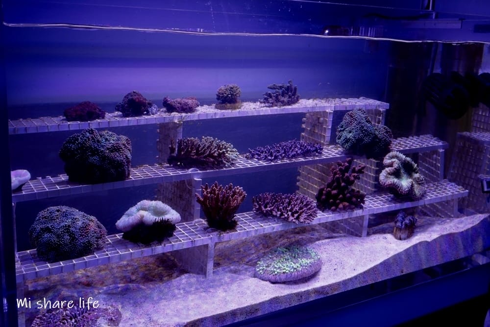 xpark (9).jpg xpark (9).jpg