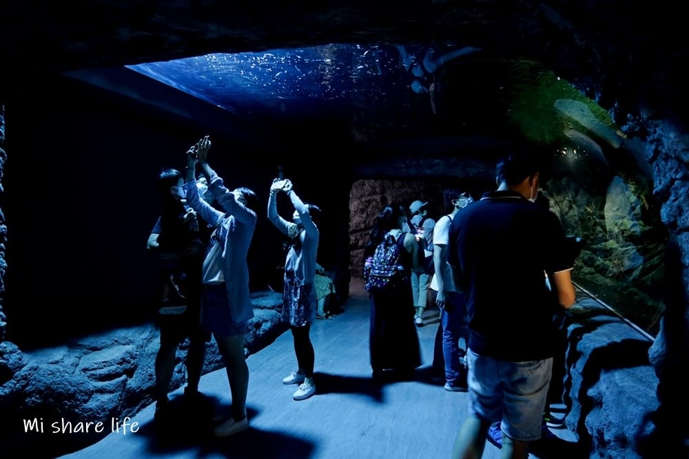 xpark (19).jpg xpark (19).jpg