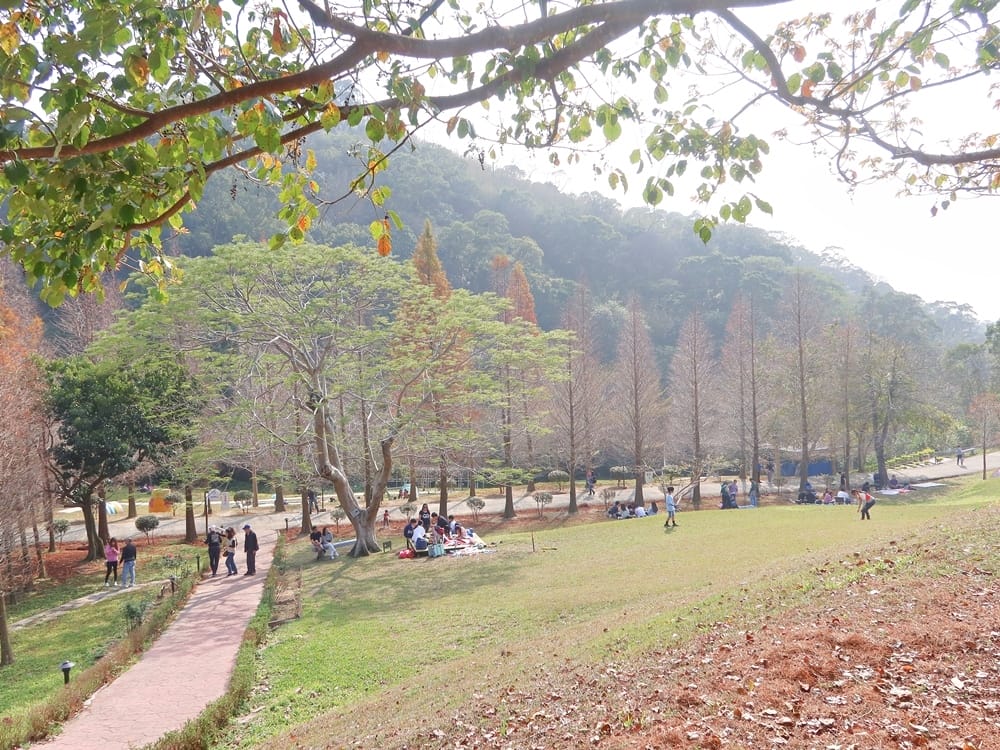 小森之歌 (3).jpg 小森之歌 (3).jpg