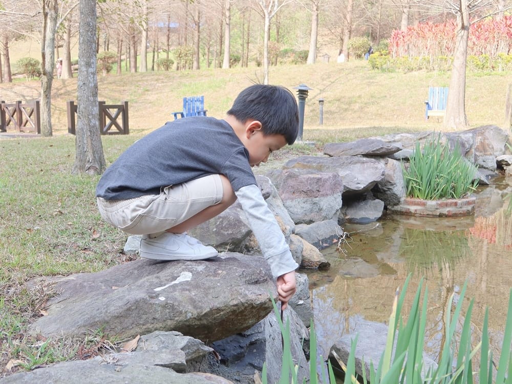 小森之歌 (4).jpg 小森之歌 (4).jpg