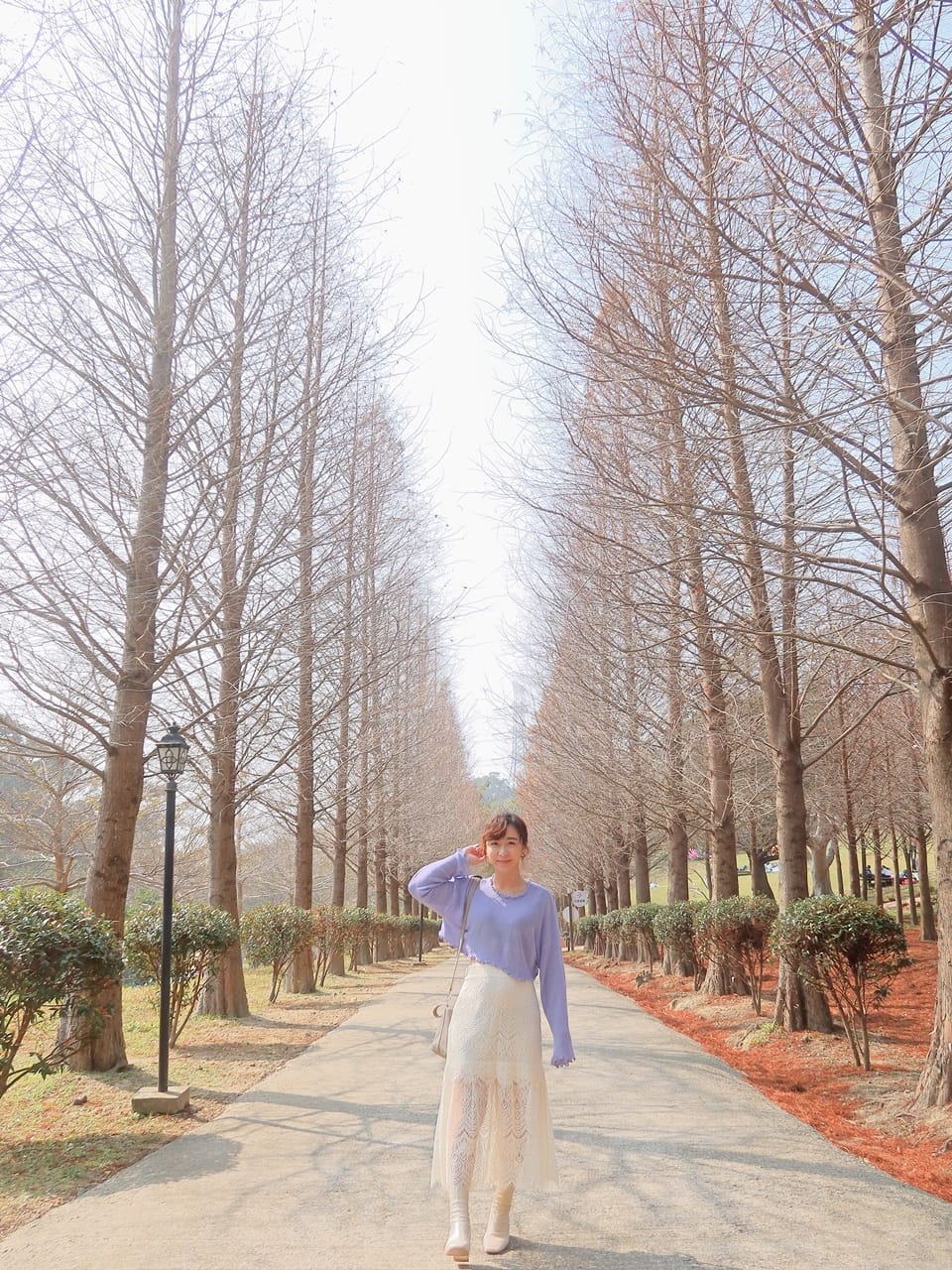 小森之歌 (2).jpg 小森之歌 (2).jpg