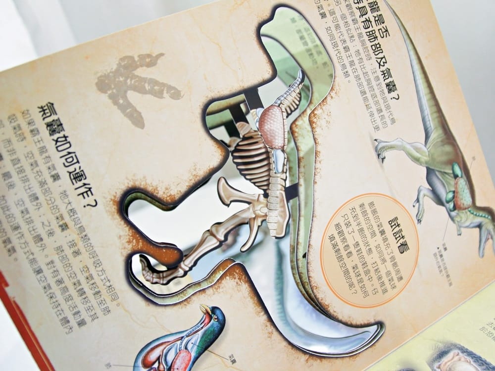 翡冷翠童書 (7).jpg 翡冷翠童書 (7).jpg