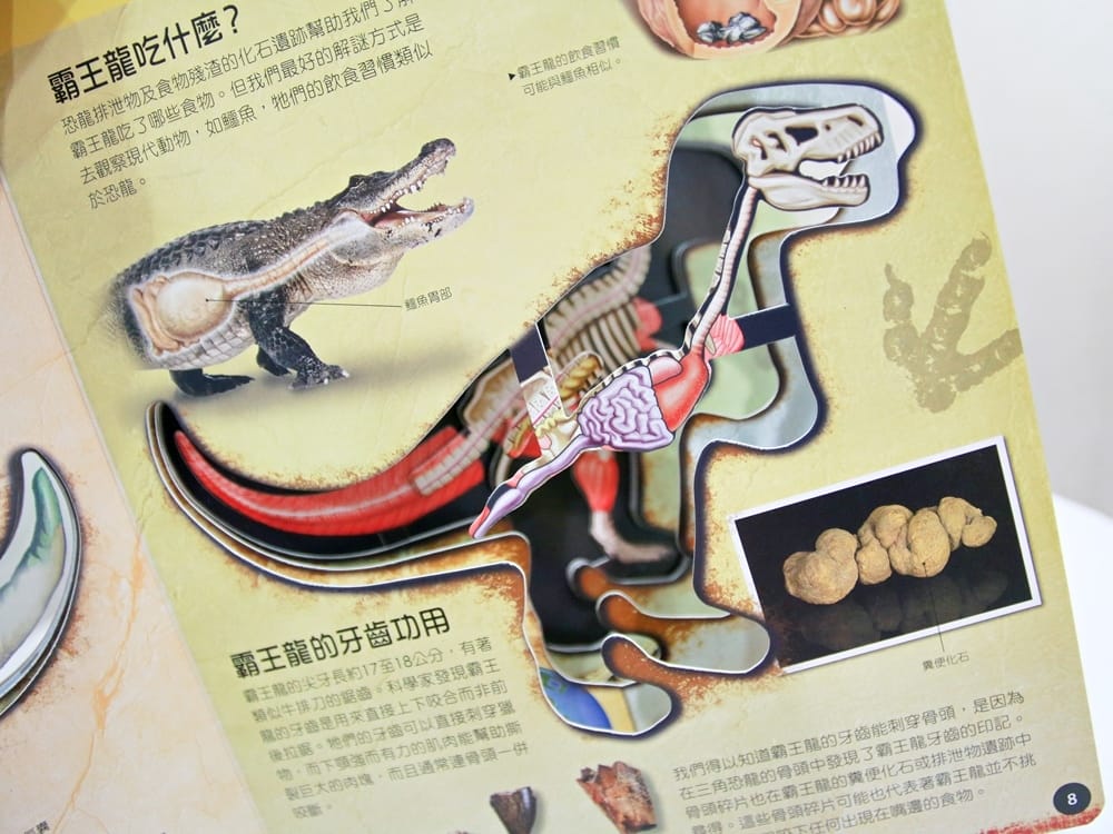 翡冷翠童書 (8).jpg 翡冷翠童書 (8).jpg