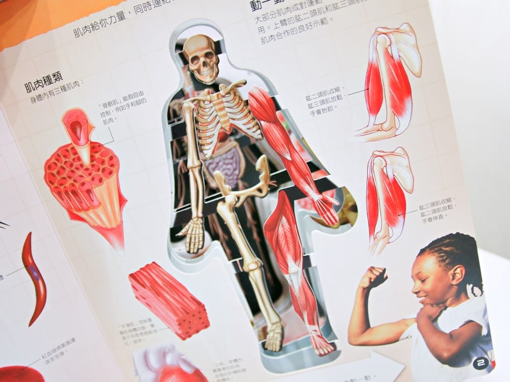 翡冷翠童書 (11).jpg 翡冷翠童書 (11).jpg