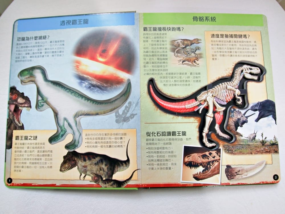 翡冷翠童書 (6).jpg 翡冷翠童書 (6).jpg