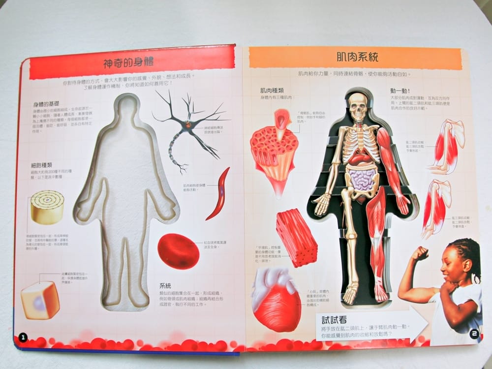 翡冷翠童書 (10).jpg 翡冷翠童書 (10).jpg