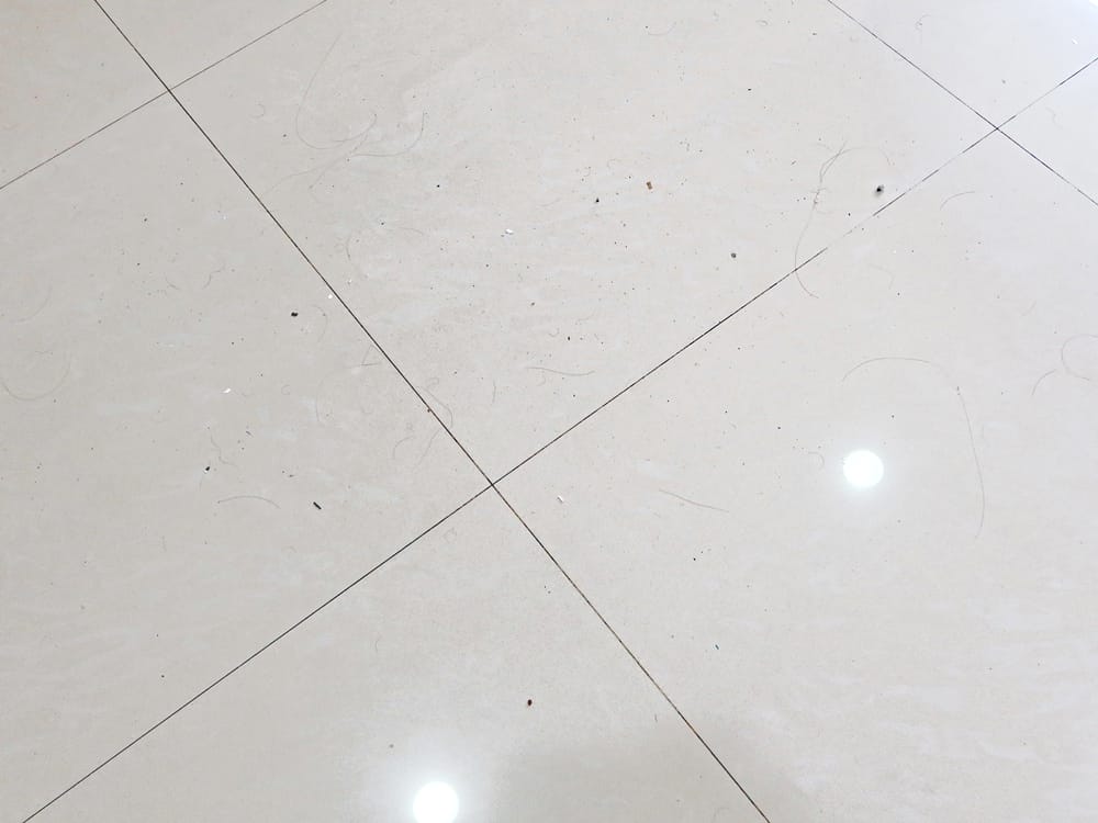 伊萊克斯極適家居700直立濕拖吸塵器 (22).jpg