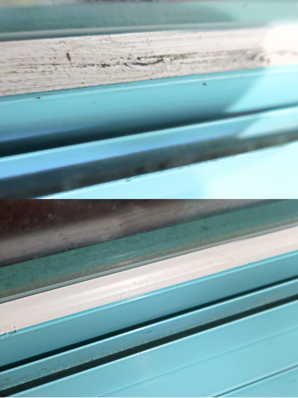 gg+居居加 (13).jpg gg+居居加 (13).jpg