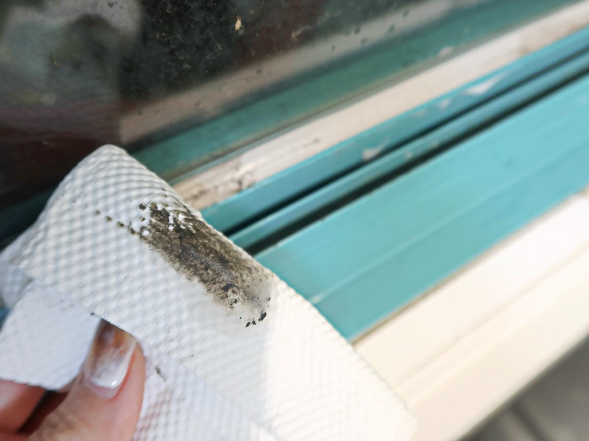 gg+居居加 (12).jpg gg+居居加 (12).jpg