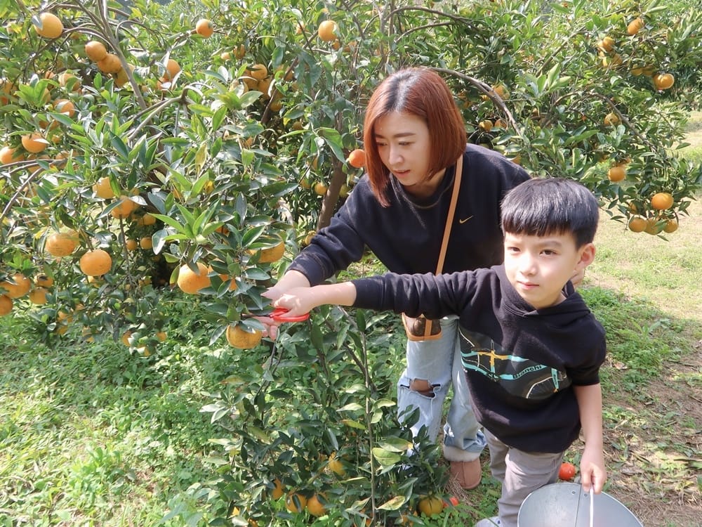 新竹老爺酒店 (72).jpg 新竹老爺酒店 (72).jpg