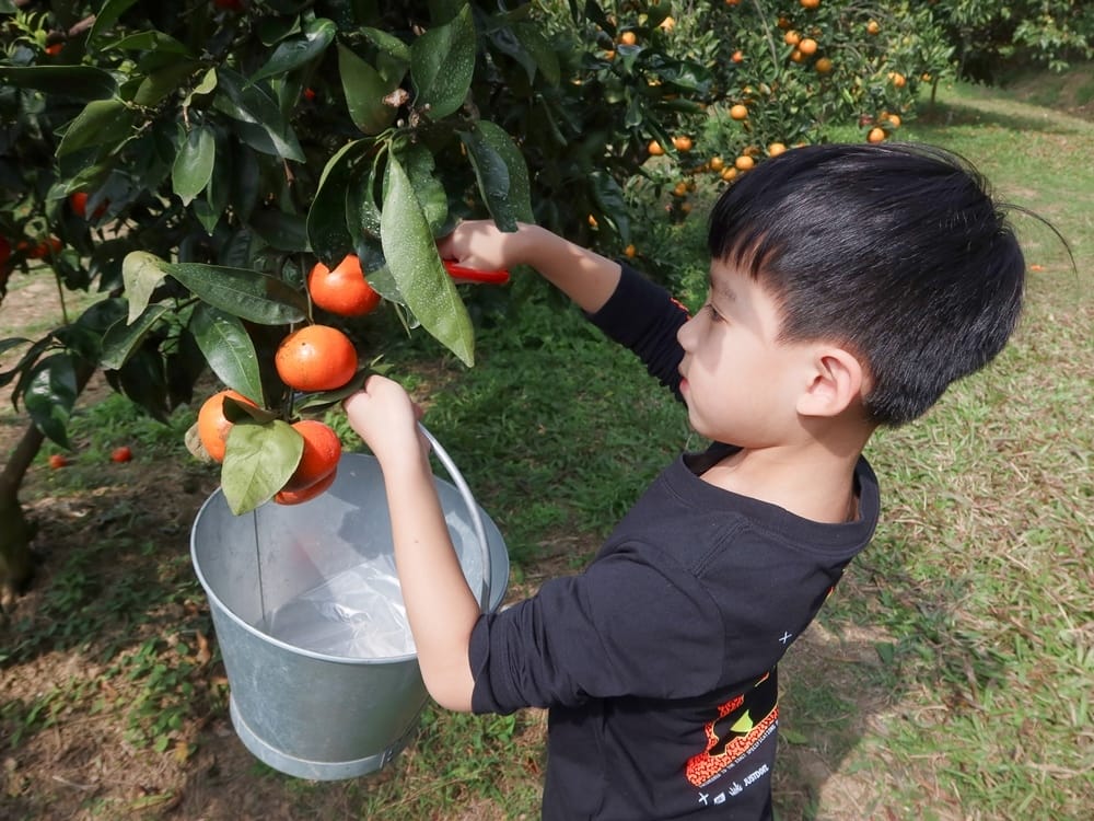 新竹老爺酒店 (71).jpg 新竹老爺酒店 (71).jpg