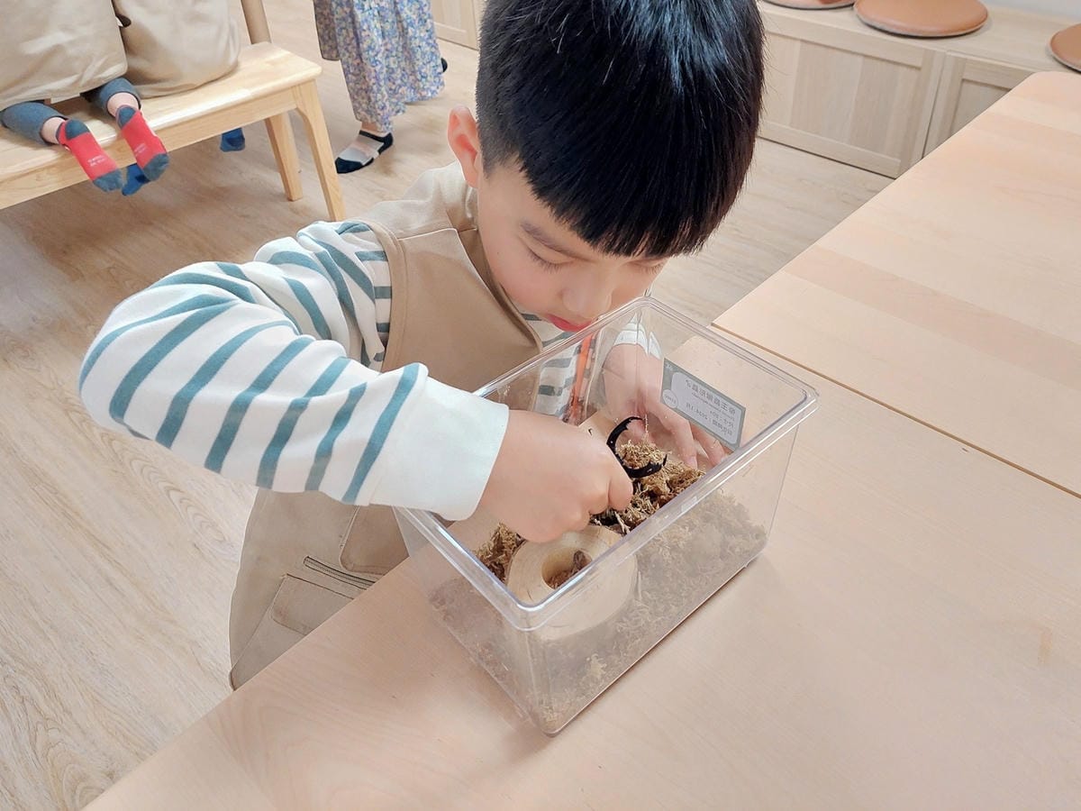 蟲蟲巴斯小小館長 (17).jpg