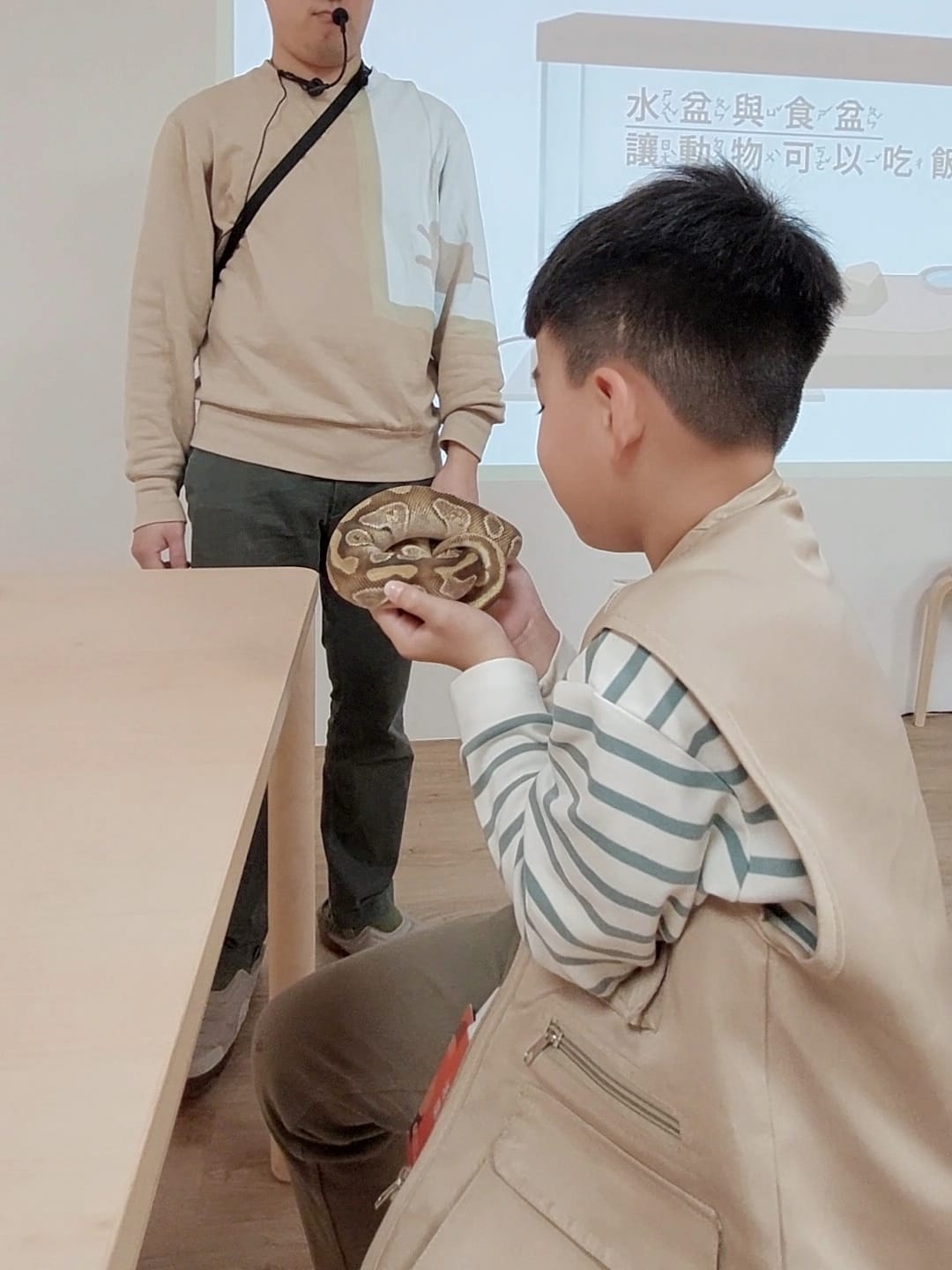蟲蟲巴斯小小館長 (33).jpg