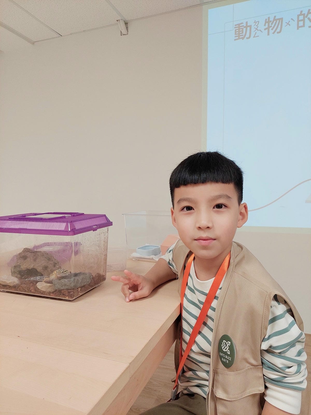 蟲蟲巴斯小小館長 (31).jpg