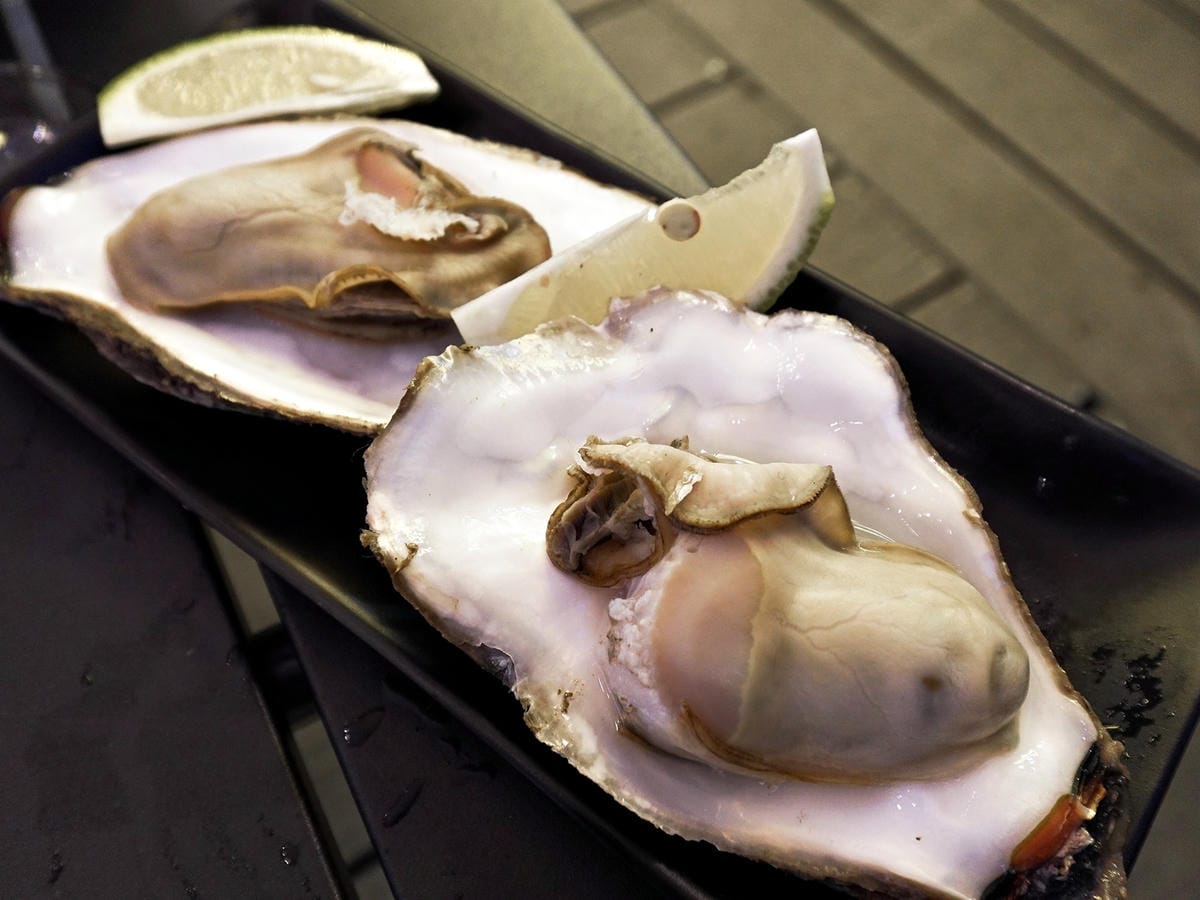 桃園民權拾酒 (28).jpg 桃園民權拾酒 (28).jpg